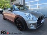 MINI Cooper D Cabrio Chilli 2.Hd*Navi*LED*Kamera - MINI Cooper D Cabrio Gebrauchtwagen