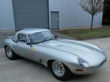 Jaguar E-Type SLW - graue Jaguar E-Type
