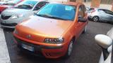 Fiat Punto 1.2i cat 3 porte EL - gebrauchte Fiat Punto aus dem Jahr 2002