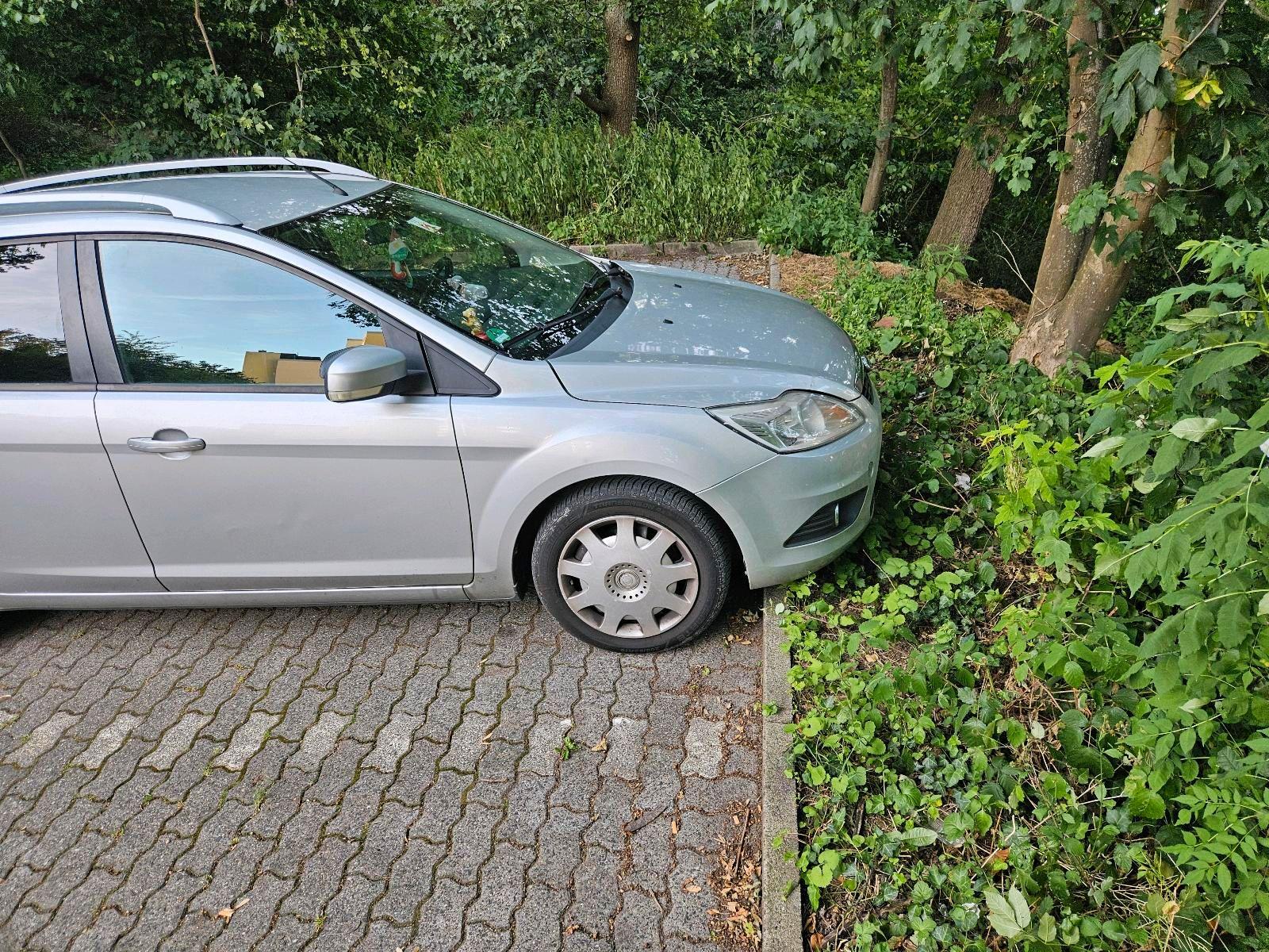 Ford Focus 2010 — photo 8