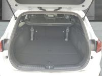 Kia cee'd Sportswagon - Vorschau Bild 5