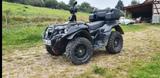 Other Online 6.5, Quad / ATV, LOF-Zulassung, 4x4 - Offers