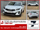 Kia XCeed 1.5 T-GDI 140PS DCT7 Vision| Navigation - Kia XCeed Neuwagen