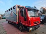 Iveco Eurocargo 80E22 Viehtransporter / Tier/Euro6 - Iveco 80e