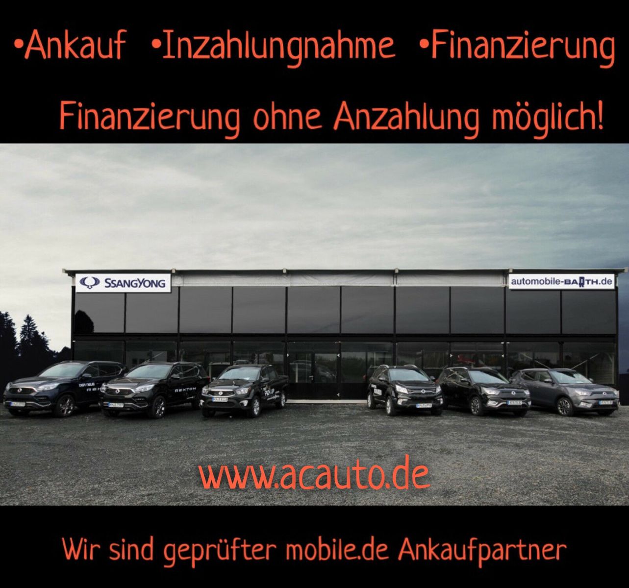 Fahrzeugabbildung Ssangyong Korando e-Motion Bronze *Klima*