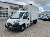 Fiat DUCATO TYP 250-KÜHLKOFFER-TIEFKÜHLER - Angebote