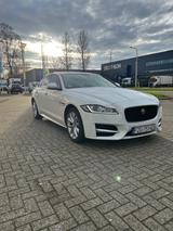 Jaguar XF E-Performance 163PS R-Sport R-Sport
