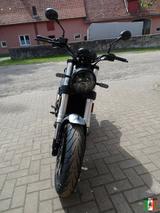 Benelli Leoncino 500 Euro 5 Vorführer - BENELLI LEONCINO