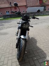 Benelli Leoncino 500 Euro 5 Vorführer - BENELLI LEONCINO