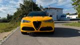 Alfa Romeo Stelvio 2.2 Diesel 16V 154kW Veloce QV Style - Alfa Romeo Stelvio aus 2021