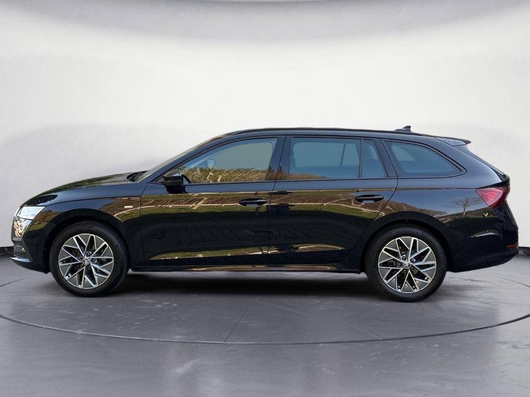 Octavia Combi Ambition