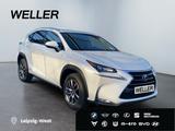 Lexus NX 300h Business Edition *LED*RCam*SHZ*Navi*PDC* - Lexus NX-Serie in Leipzig