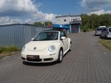 Volkswagen New Beetle Cabriolet 2.0 United Automatik*Leder* - Volkswagen New Beetle in Hannover