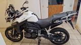Triumph Tiger Explorer 500 - TRIUMPH TOURER