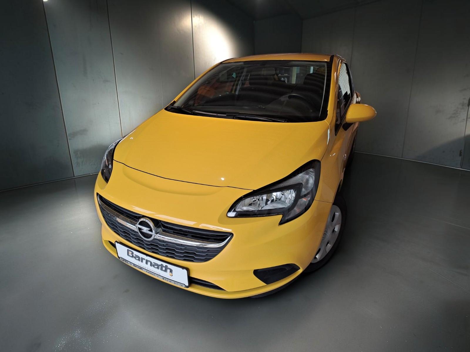 Opel Corsa E Edition *FlexFix Fahrradträger*