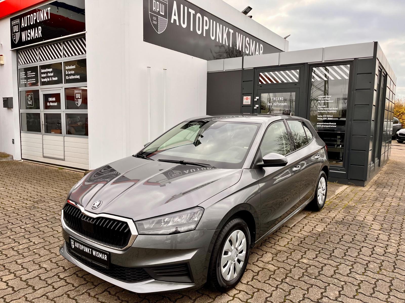 Skoda Fabia Active LED+DAB+SMARTLINK+SITZHZG+TEMPOMAT