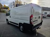 Fiat Ducato Kasten L1H1 Anhängerkupplung - Koffer Anhänger
