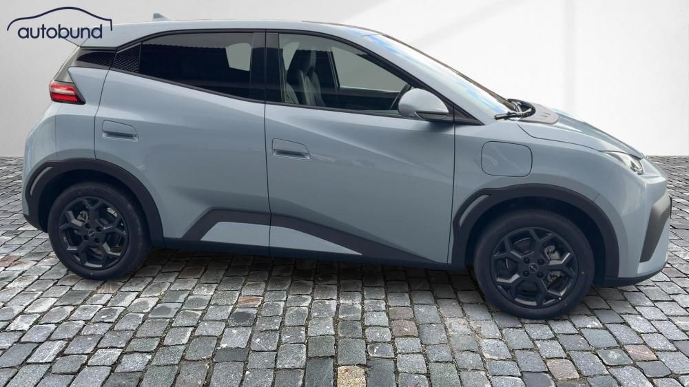 BYD DOLPHIN SURF