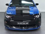 Ford Mustang GT Fastback 5.0 418hp - Special - Ford Mustang aus 2010: Coupe