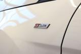 Ford EcoSport ST-Line Winterpaket CarPlay  - weiße Ford EcoSport