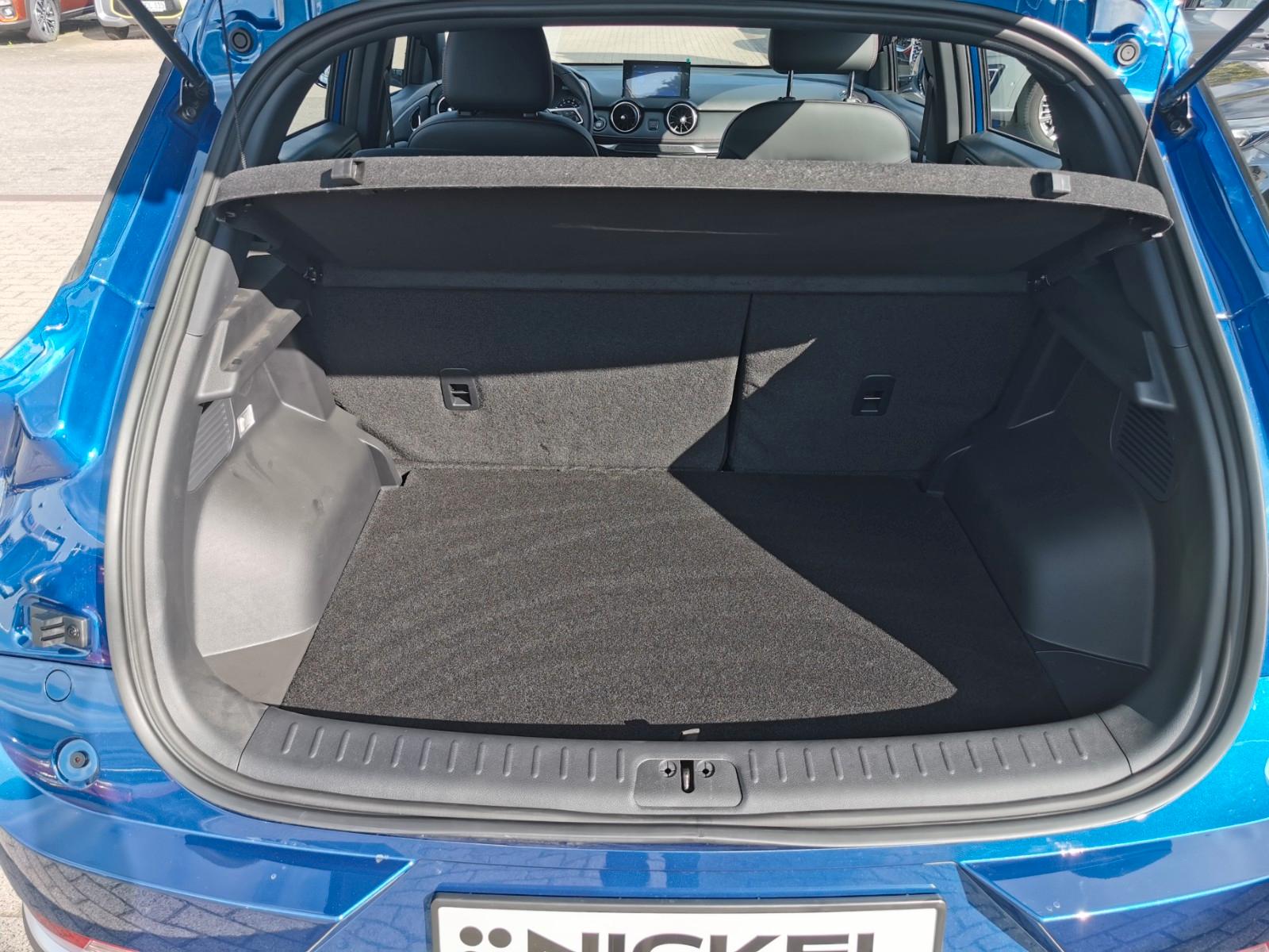 DFSK Fengon 500 CVT Konserviert