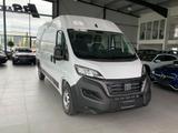 Fiat Ducato Maxi L5H2 - Fiat Ducato in Augsburg