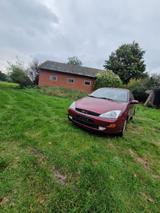 Andere Auto Ford Focus 1,6 Liter Benziner Automatik - Andere aus 1999
