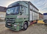 Mercedes-Benz Actros 1846 Viehtransport 2013 jahre  - Mercedes-Benz Actros 1846