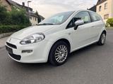 Fiat Punto 1.2 8V LOUNGE LOUNGE - Fiat Punto: Lounge
