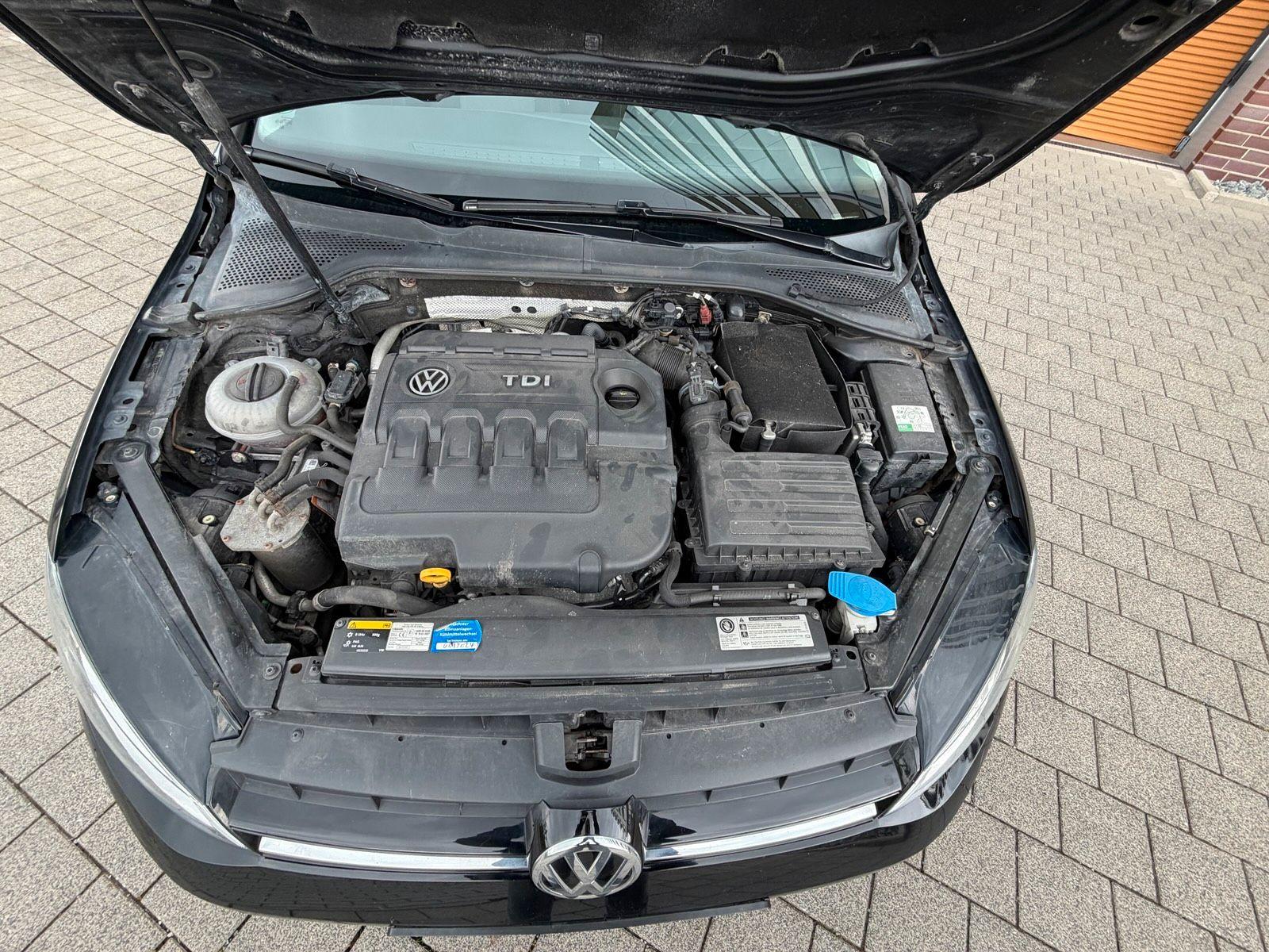 Volkswagen Golf 2015 — photo 11