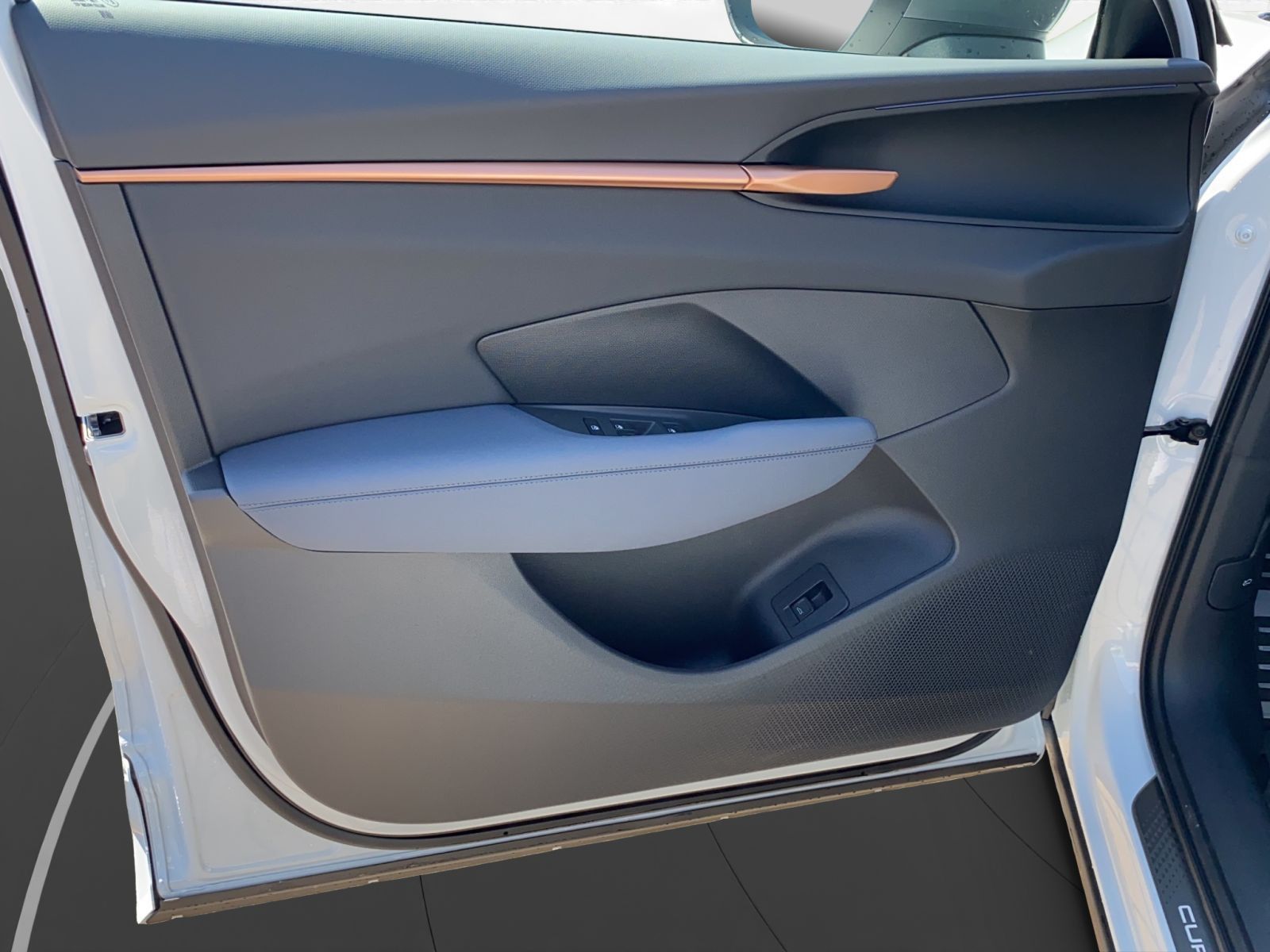 Cupra Terramar - Bild 12