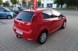 Fiat Punto Young Ahk/Navi/Klima/Servo/Isofix - Fiat Punto Gebrauchtwagen