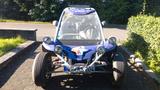 Piaggio Pgo Bugracer 500 i - : Bug