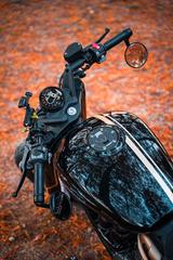 Andere BENDA Napoleon Bob 500 - CHOPPER VON 251 BIS 500 CCM