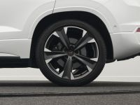 Cupra Ateca - Vorschau Bild 48