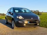 Fiat Punto 1.2 8V LOUNGE LOUNGE - Fiat Punto von privat
