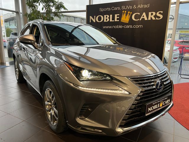 Lexus NX 300h Executive Line LED NAV DAB RFK SHZ 18"