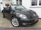 Volkswagen Beetle 1.4TSI DSG Allstar Plus Leder Fender DAB - VW Beetle gebraucht in Frankfurt