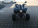 Aeon Cobra 400 - AEON COBRA