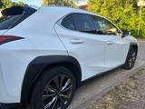 Lexus UX 300h F Sport Design F Sport Design - weiße Lexus UX