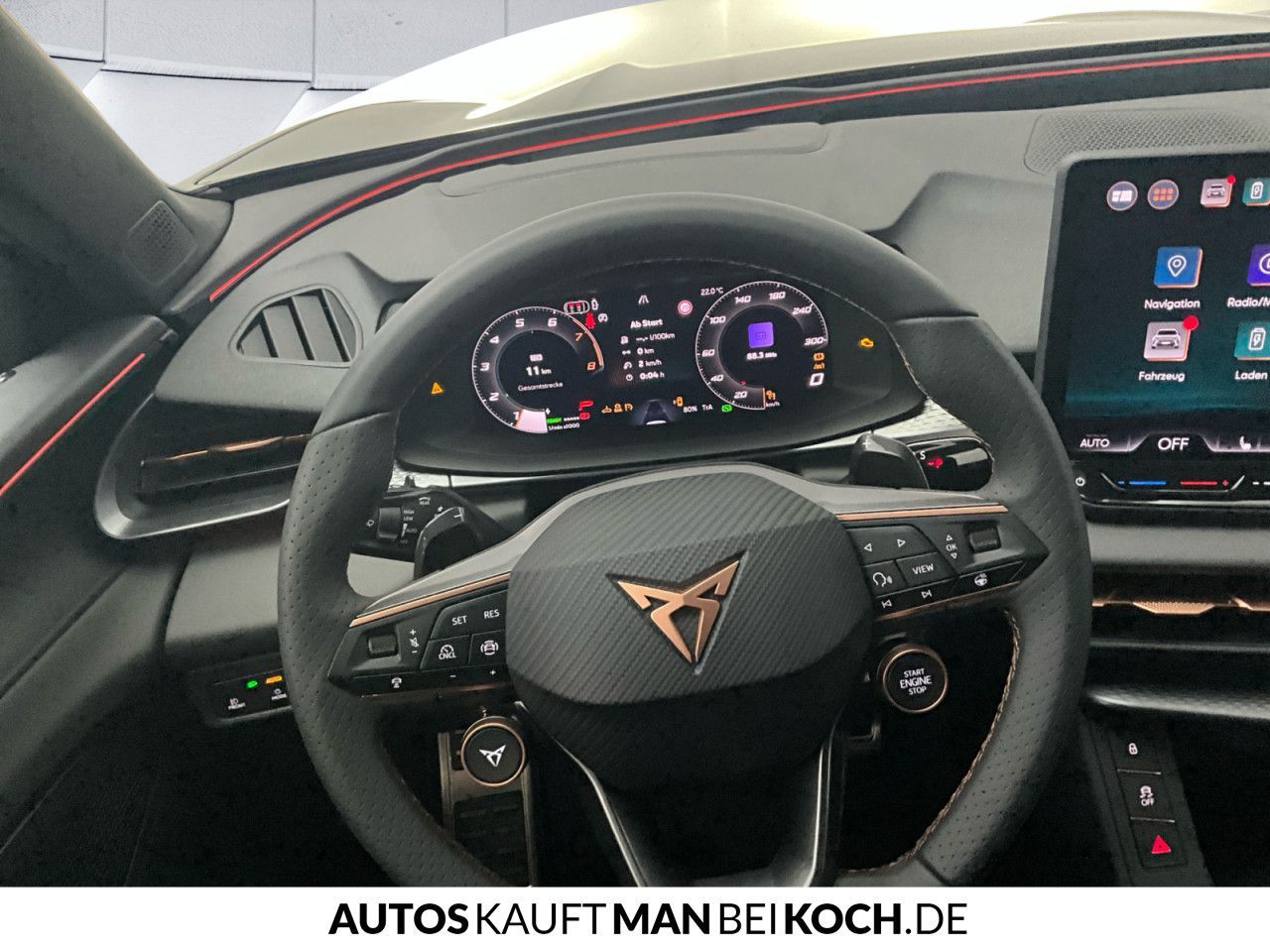 Cupra Terramar - Bild 13