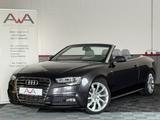 Audi A5 Cabrio 3.0 TDI S Line Leder Kopfraumheizung - Audi A5 3.0 TDI