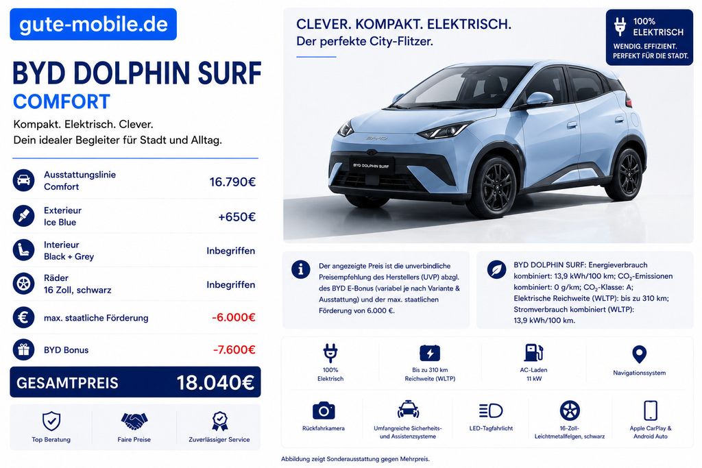 BYD Dolphin Surf