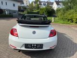 Volkswagen Beetle Cabriolet Allstar Navi/PDC/Windschott - Volkswagen Beetle: Allstar