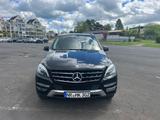 Mercedes-Benz ML 250 BlueTEC 4MATIC - - Mercedes-Benz ML 250 aus 2015