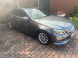 Mercedes-Benz E 250 BlueTEC 4MATIC Autom. - - Mercedes-Benz E-Klasse von privat