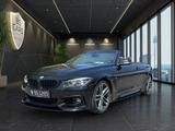 BMW 430i Cabrio*M Sport Paket*Carbon*RückfahrKamera* - BMW 430: M Paket