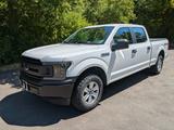 Ford F 150 XL Long bed/LPG - Ford F 150: Xl