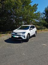 Toyota RAV 4 2,5-l-Hybrid Edition S+ Auto 4x2 Editi... - Toyota RAV 4 von privat