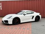 Porsche Cayman GTS GTS - Porsche Cayman aus 2015